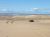 cord-dunes 112.jpg
